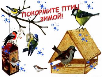 Акция добрых дел: Накормите птиц зимой!